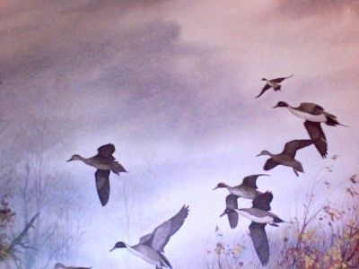 David Hagerbaumer Signed L E Print of Pintail Ducks