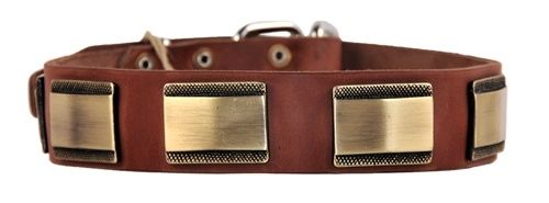 New Dean Tyler Dog Collar Medium Extra Large Dogs