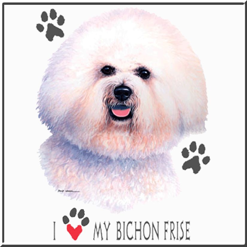 david_wenzel_i_love_my_bichon_frise_white_bkgd.gif