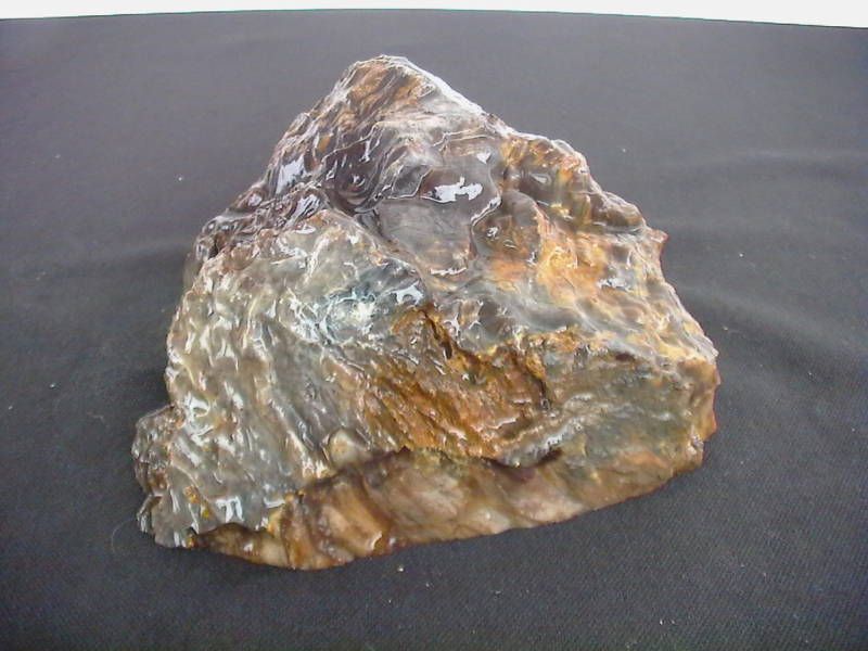 PETRIFIED WOOD LANDSCAPE ROCK DECORATIVE #482   3 LBS.