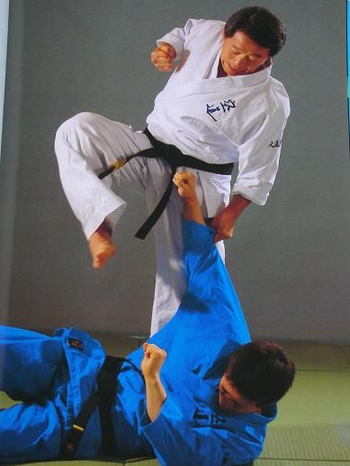 Takashi Azuma Daidojuku karate kudo book Daido juku Martial Arts mma
