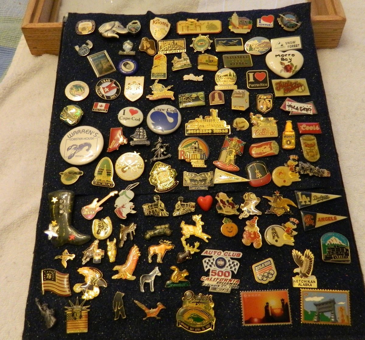 Display Case Whith About 100 Differnt Pins