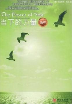 The Power of Now Chinese Edition by Eckhart Tolle Bestseller