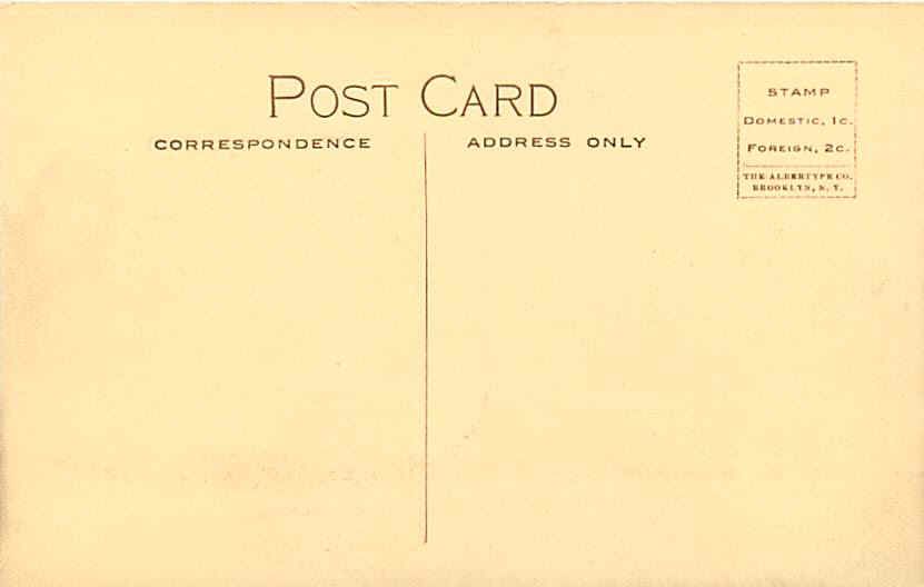 Edwardsville Illinois IL 1908 Palace Store Albertype Vintage Postcard