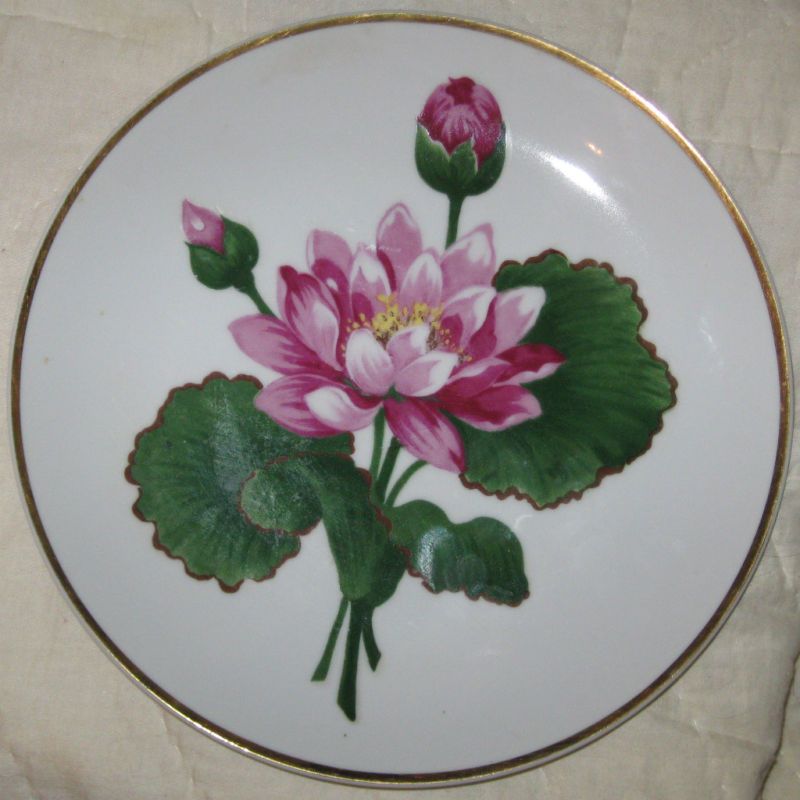 Floral Dinner Plate by Ucagco China Occupied Japan