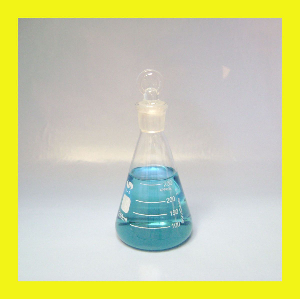 Erlenmeyer Flask 250mL mL ml with Glass Stopper Borosilicate Glass