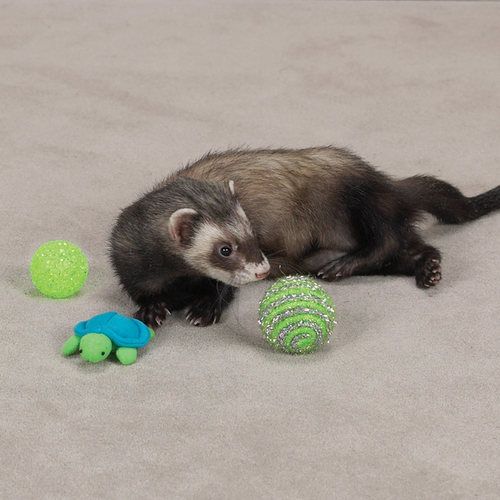 Ferret Toys Plush Sparkle Plastic Crinkle Bell 3 Toy PK