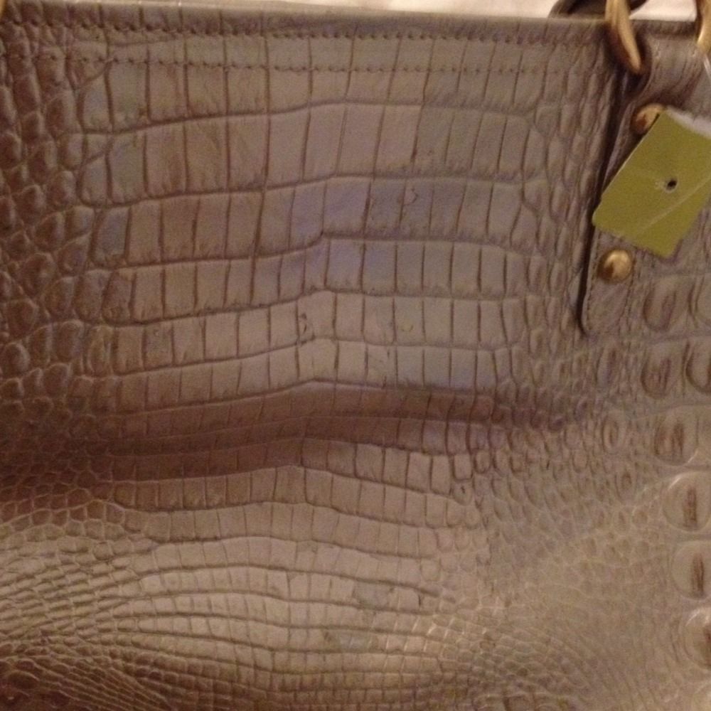  Brahmin Alden Handbag Fizz Color