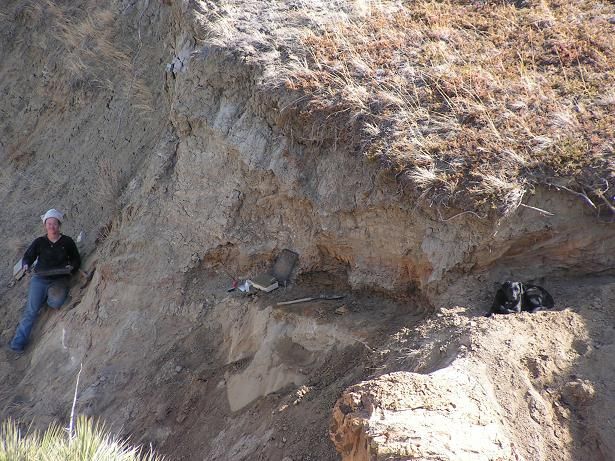 fossil prepared by 549 highway 117 fort peck montana 59223