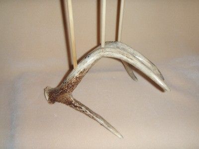 Native American Style Flute Stand Deer Antlerd Carved Wolf Tracks OOAK