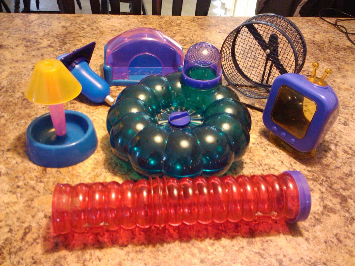   mouse gerbil small rodent accessories habitat items wheel food water