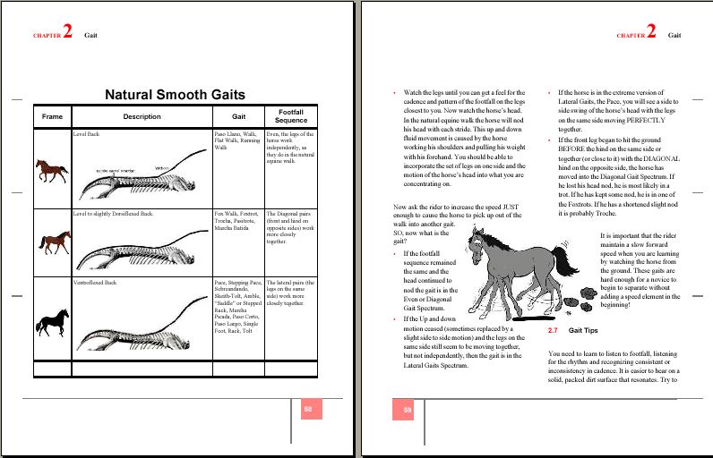  of gait and much more sample pages from how to train your gaited horse