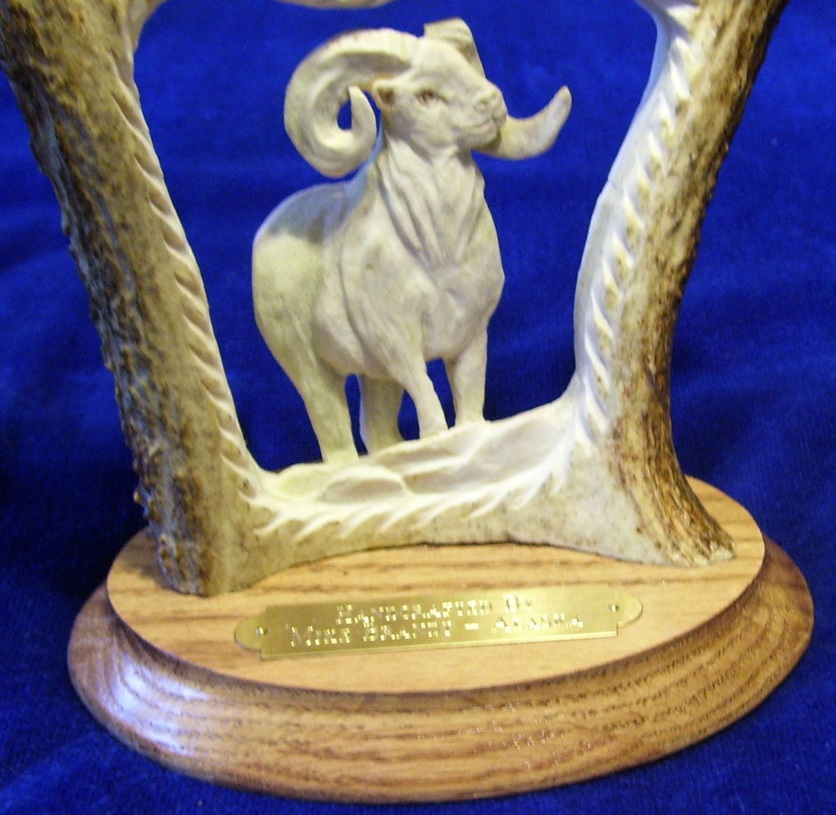  Solitary RAM Moose Antler Carving