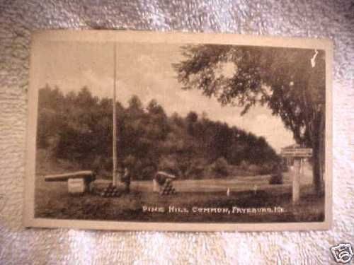 EARLY FRYEBURG MAINE PINE HILL COMMON POSTCARD