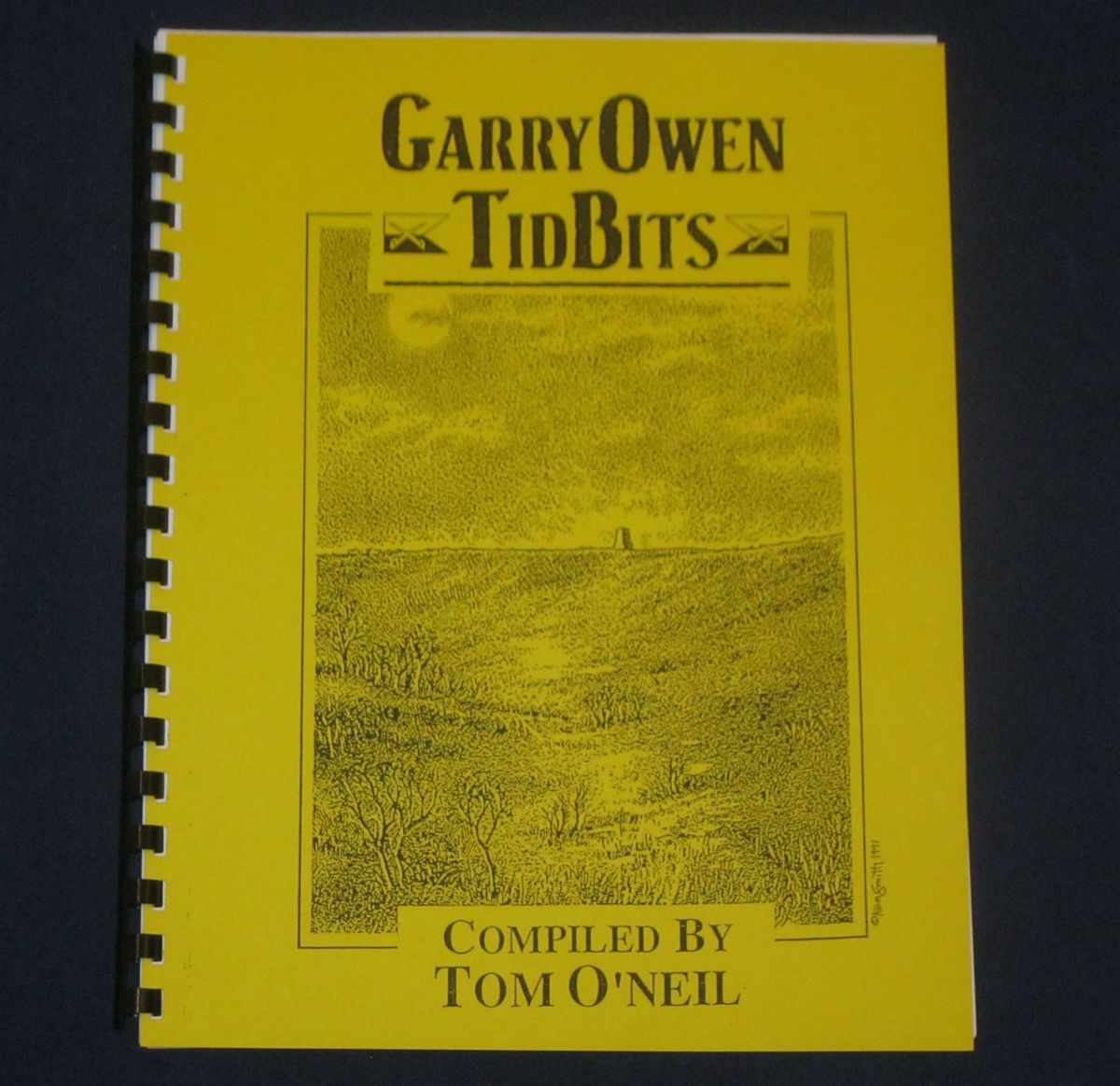 CUSTER 7th Cavalry GARRY OWEN Tid Bits #6 INDIAN WARS Military History