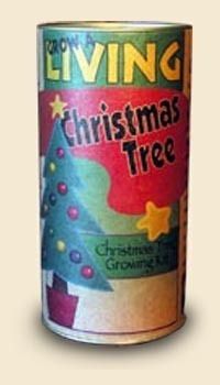  Tree Growing Kit Giant Sequoia Grow Sequioa Xmas Tree Seeds