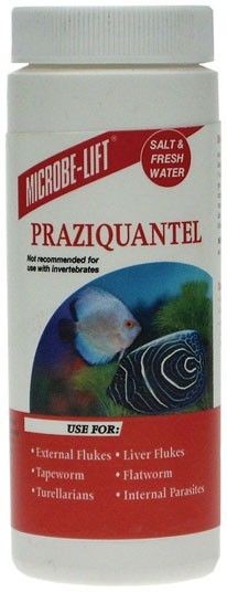  gentle treatment for praziquantel susceptible disease of fish tapeworm