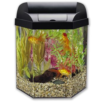 Eclipse Hexagon 5 Gallon Fish Tank Aquarium w Filters Food Rocks More