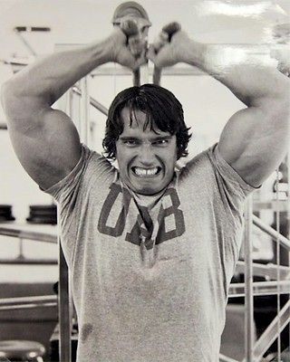 ARNOLD SCHWARZENEGGER POSTER ~ BODYBUILDING WORKOUT 16x20 Olympia