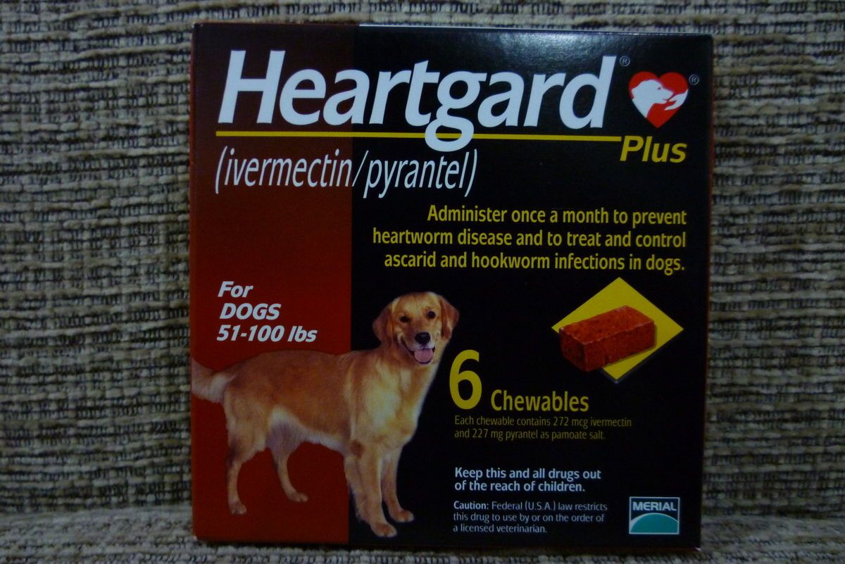 Heartgard Plus Large Dogs Brown 51 100 lbs 6 Chewables