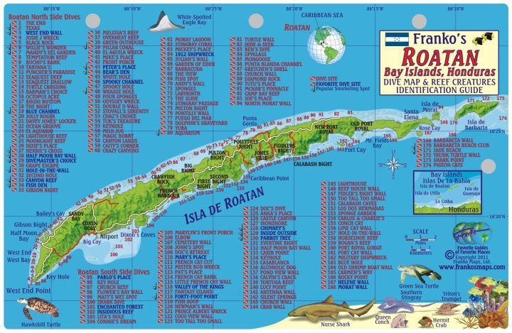 Franko Maps ROATAN Island Honduras Fish Reef Creature ID Card