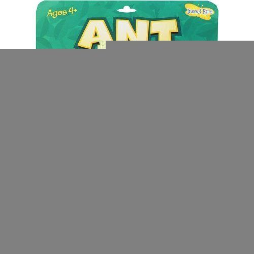 Insect Lore Ant Life Cycle Stages   Set of 4 Figures   Biology