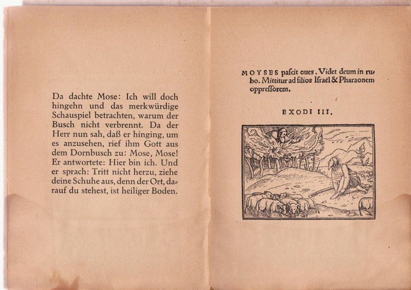 Exodus Und Leviticus Judische Bucherei BD 10 GERMAN1920