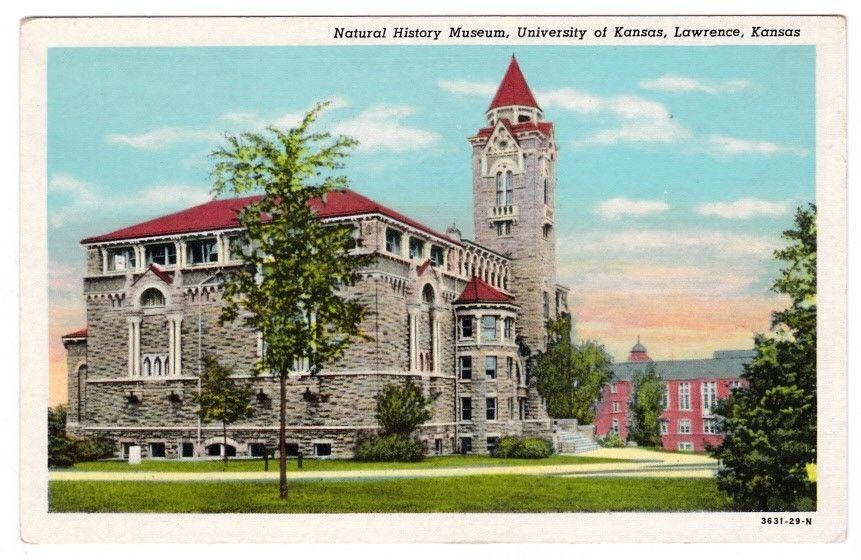 History Museum University of Kansas Lawrence Kansas V PC