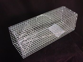 Single Door Small Animal Live Trap