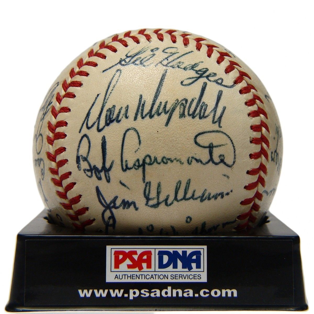 1961 Los Angeles Dodgers Team Signed Baseball PSA DNA