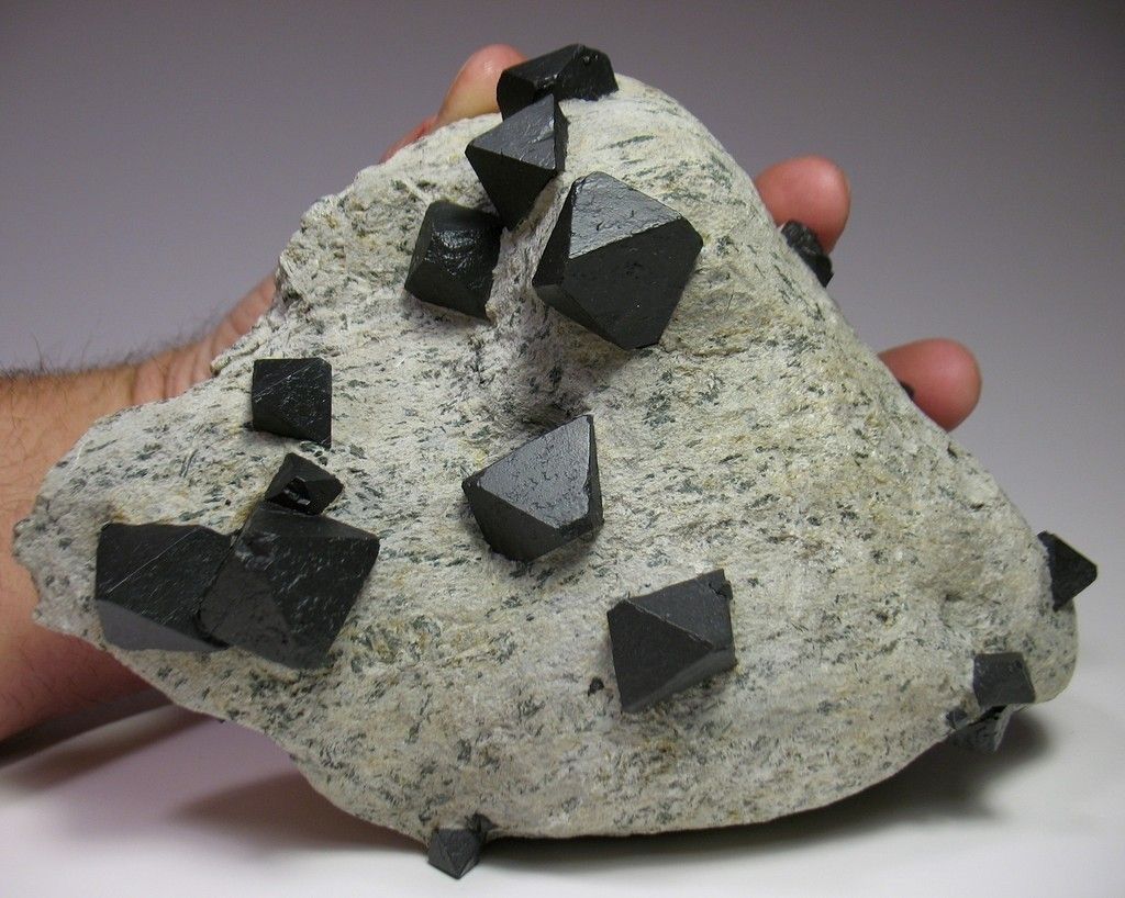 Fine Magnetite Crystals in Matrix