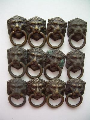 Huge LOT BRASS Lion Head Drawer Pulls,Vintage at Least