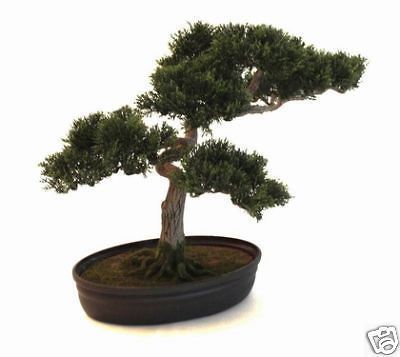 LARGE CEDAR BONSAI TREE ARTIFICIAL GIFT HOME DECOR NEW