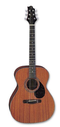 samick acoustic guitar