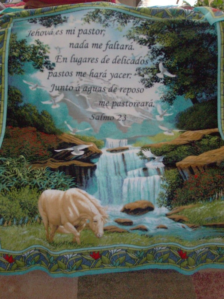 SALMO 23 SPANISH FLEECE THROW BLANKET