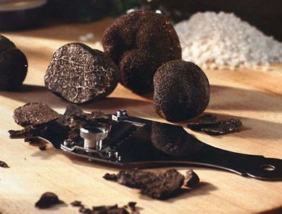 06oz 30g fresh black Italian Winter Perigord Truffle T. melanosporum