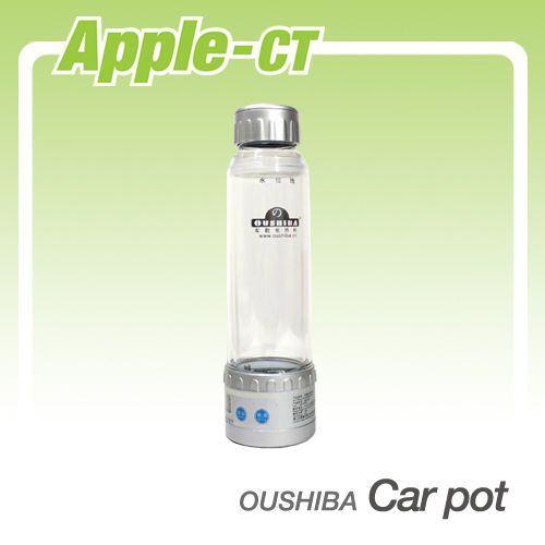 OUSHIBA 12/24 Volt Car Pot Hot water heater 280ml, Korea Cosmetics