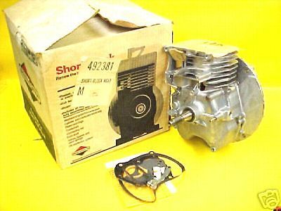 NEW BRIGGS & STRATTON SHORT BLOCK ENGINE #492381 MOTOR