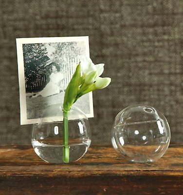 Bubble Glass Bud Vase Place Card Holders Wedding Holiday Decor