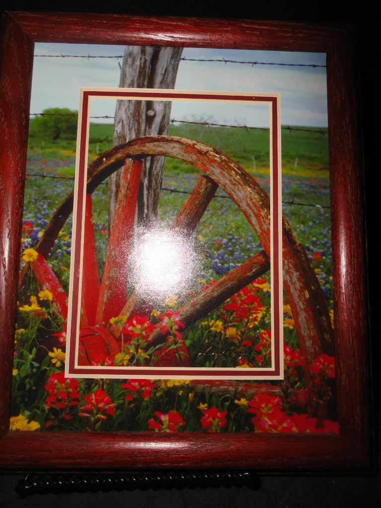 Photo of old Wagon Wheel, w/matte w/field of paints, blue bonnets, Dan