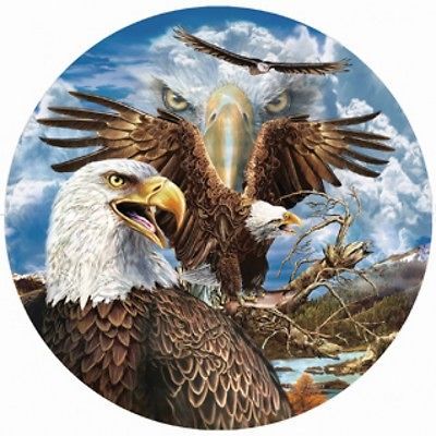 13 Eagles   26 ROUND   Art Steven Gardner  1000 Piece Jigsaw Puzzle