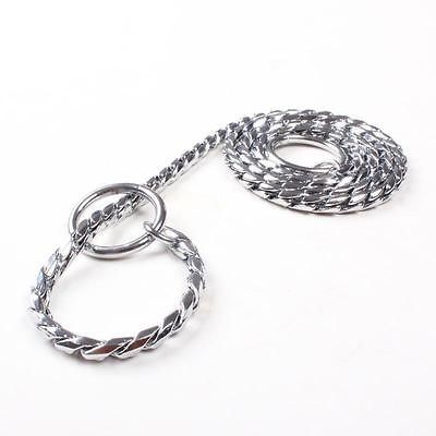 New Solid Snake P Choke Chain Metal Training Collar For Dog Puppy