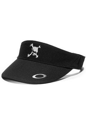 Japan model] OAKLEY Skull Visor One